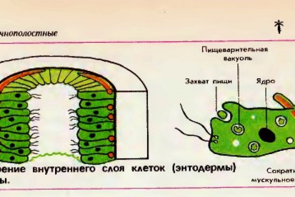 Кракен тор ссылка сегодня