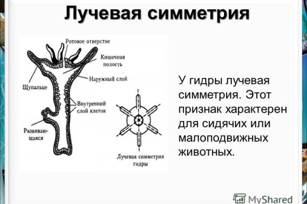 Кракен маркетплейс ссылка