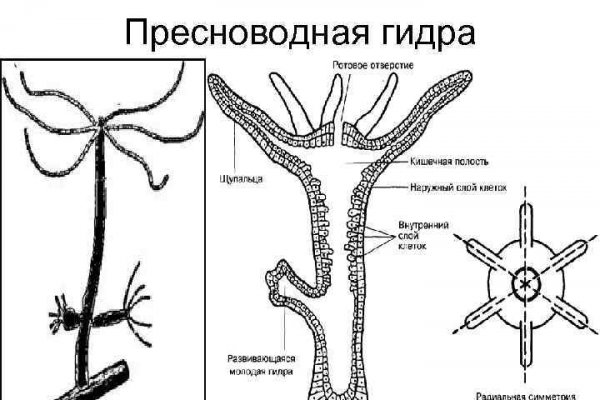 Кракен маркетплейс закрыли