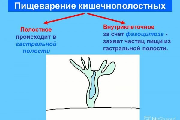 Кракен верное зеркало