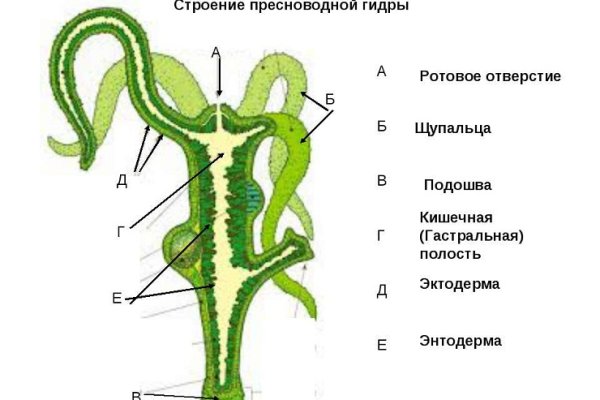 Площадки в даркнете